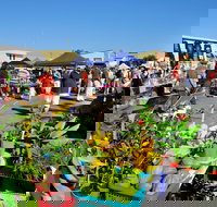 Maclean Macmarket Day - Accommodation Bookings