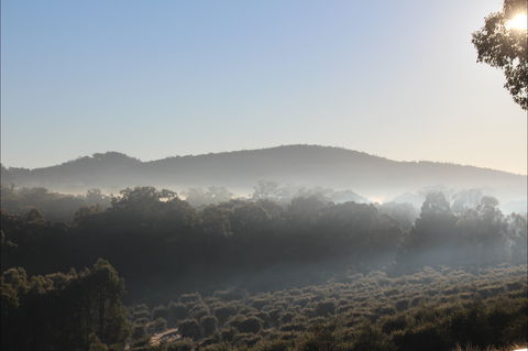 Mudgeeque - Accommodation Bookings 0