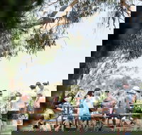 Music on the Murray