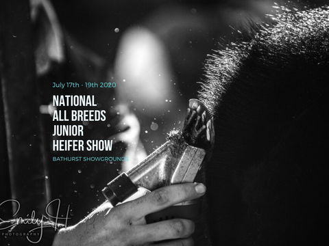 National All Breeds Junior Heifer Show - Accommodation Bookings 0