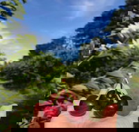 National Cherry Festival - Accommodation Bookings