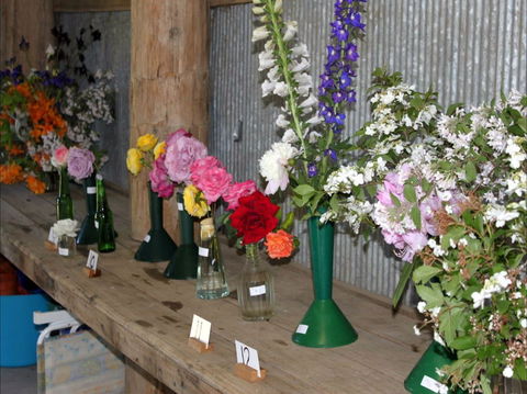 Neville Show - Accommodation Bookings 0