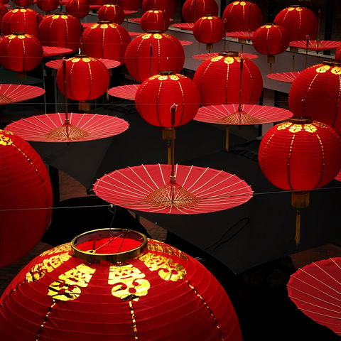 Online Live Streaming Class: Phone Photography Workshop - Accommodation Bookings 0