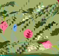 Oseanica Culinary Art - Accommodation Bookings