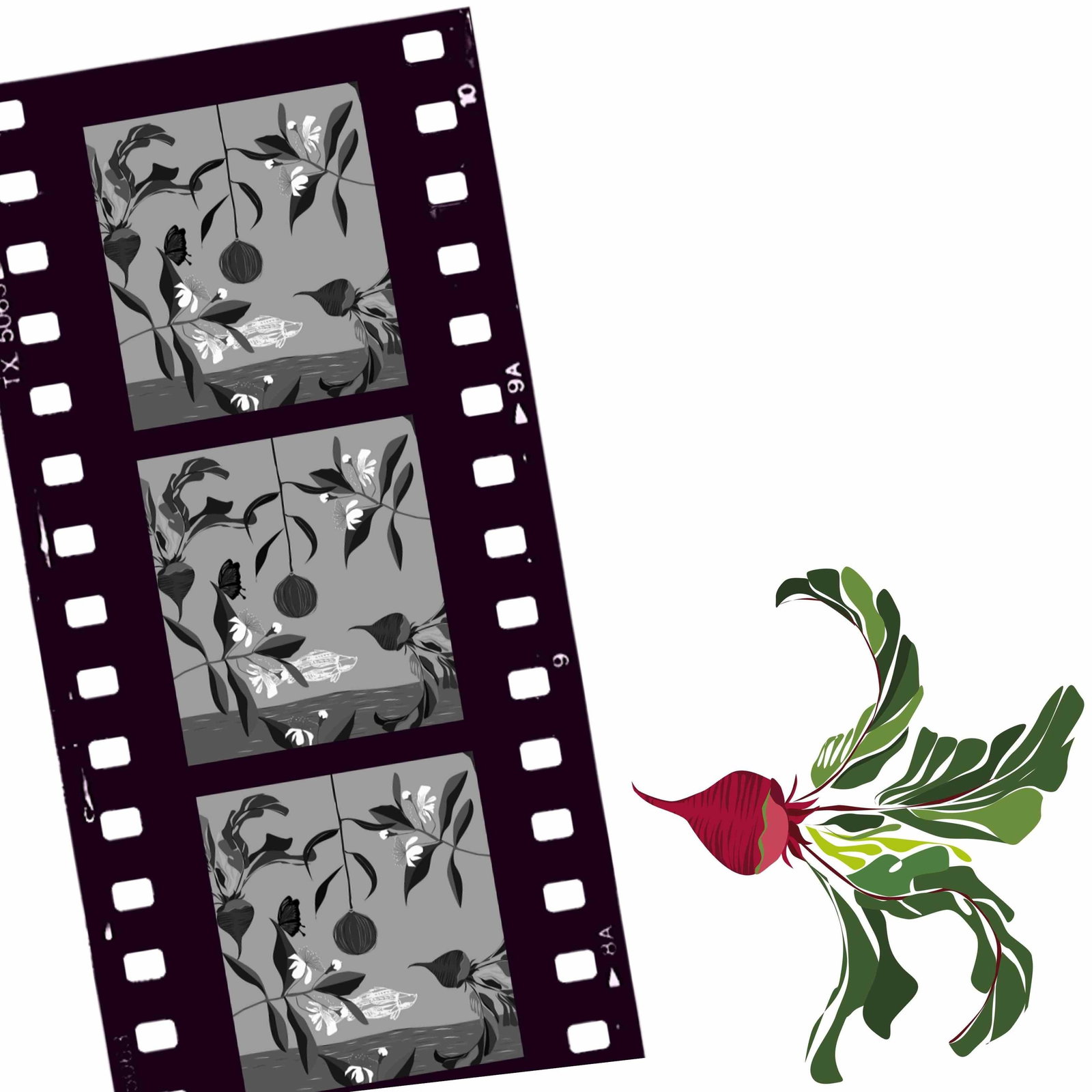 Cairns North QLD Accommodation Bookings