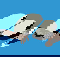 Petrenko's Shostakovich - Morning Symphony - Accommodation Bookings