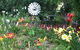 Riverina Iris Farm Open Garden And Iris Display - thumb 2