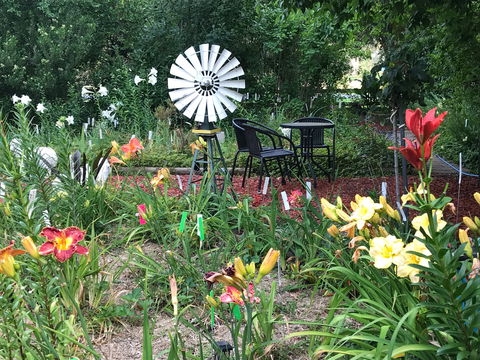 Riverina Iris Farm Open Garden And Iris Display - Accommodation Bookings 2