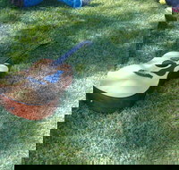 Rosewood Country Round Up Music Festival - Accommodation Bookings