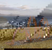 Sculpture Bermagui - Accommodation Bookings