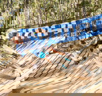 Shimano Mountain Bike Grand Prix Race Eight Ourimbah - Accommodation Bookings