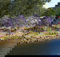 Shoalhaven River Festival - Accommodation Bookings