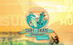 Skate And Surf Festival, Shellharbour - thumb 0