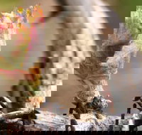 Spring Seasonal Lunch - Accommodation Bookings