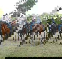 Stroud Show - Accommodation Bookings