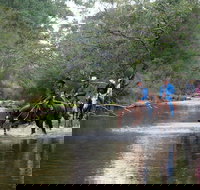 The Man From Snowy River Bush Festival - Accommodation Bookings