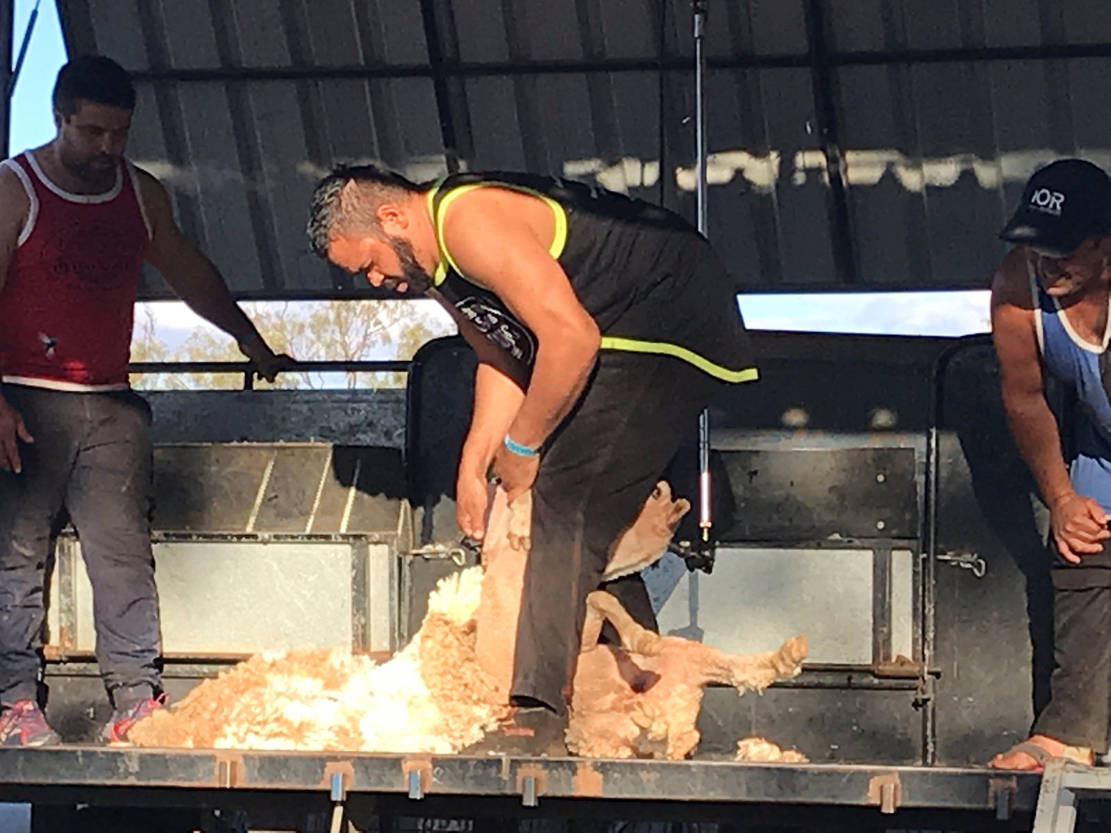 Dynevor QLD Accommodation Bookings