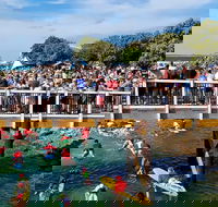 The Crescent Head Santa Surf - Accommodation Bookings