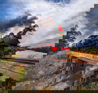 The Bellarine Railway Santa Train Specials - Accommodation Bookings