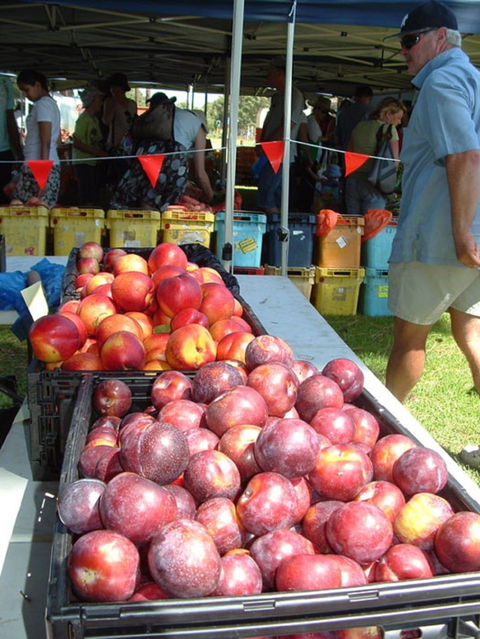 The Farmers Market On Manning - Accommodation Bookings 0