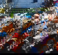 The Peter Allen Festival - Accommodation Bookings