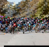 Wagga Lake Run Ride - Accommodation Bookings
