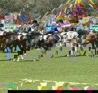 Wangaratta Show - Accommodation Bookings
