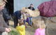 Wangaratta Show - thumb 1