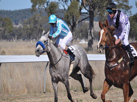 Wean Picnic Races - Accommodation Bookings 0