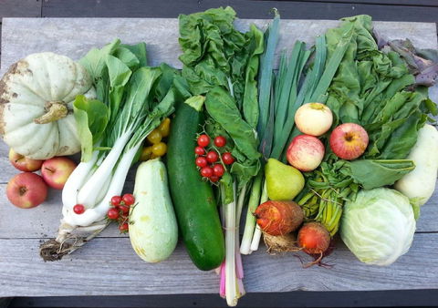 Wingham Farmers Market - Accommodation Bookings 0