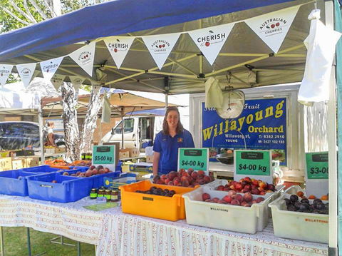 Young And Region Farmers Markets - Accommodation Bookings 1