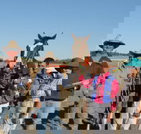 Annual Prairie Races - Accommodation Bookings