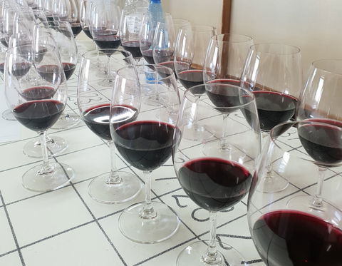 Australian Cool Climate Wine Show - Accommodation Bookings 1