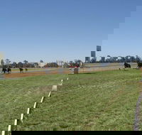 Balranald Races -Derby Day - Accommodation Bookings