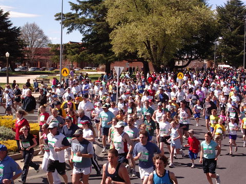 Bathurst Edgell Jog - Accommodation Bookings 0