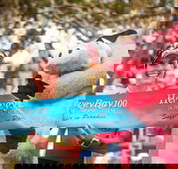 Beach House Hotel Hervey Bay 100 - Accommodation Bookings