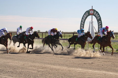 Bedourie Races And Rodeo - Accommodation Bookings 0