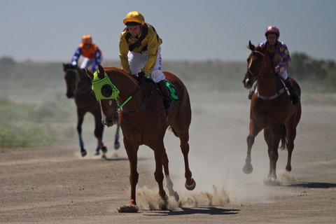 Bedourie Races And Rodeo - Accommodation Bookings 2