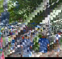 Bellingen Community Markets - Accommodation Bookings