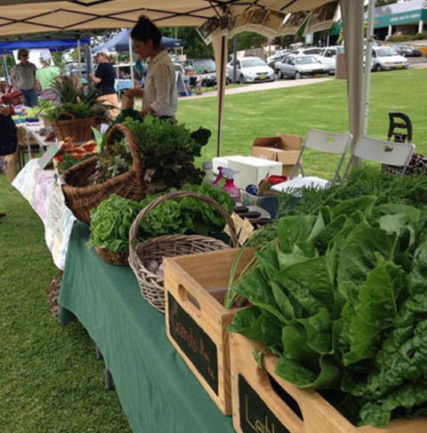 Bermagui Growers Market - Accommodation Bookings 5