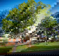 Big Bat Wildlife and Eco Festival - Accommodation Bookings