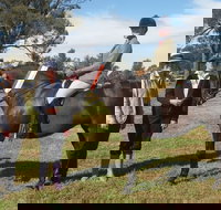 Birbbaree Show - Accommodation Bookings