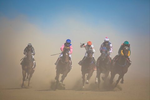 Birdsville Races - Accommodation Bookings 2