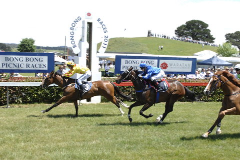 Bong Bong Picnic Races - Accommodation Bookings 0