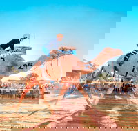 Boulia Camel Races - Accommodation Bookings