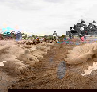 Broulee New Year's Eve Sandcastles and Sculptures - Accommodation Bookings
