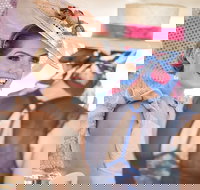 Cairns Amateurs - Accommodation Bookings