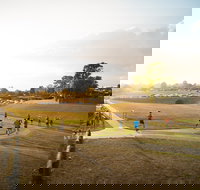 Campbelltown ParkRun - Accommodation Bookings