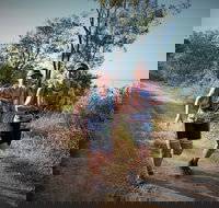 Cape Pallarenda Trail Run 2020 - Accommodation Bookings