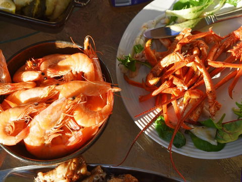 Cape Jaffa Food And Wine Festival - Accommodation Bookings 0